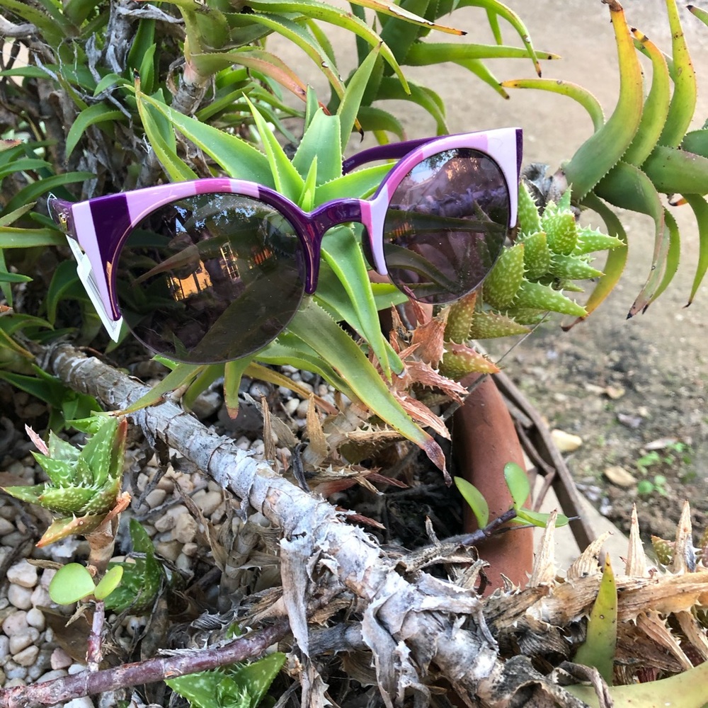 Perverse Sunglasses